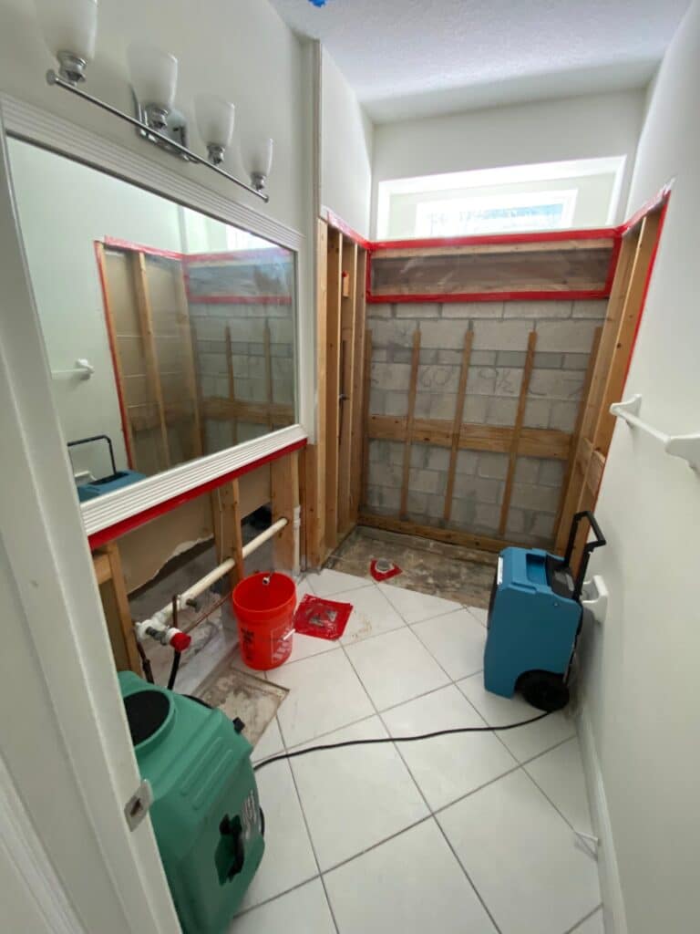 Opened wall on a real TLG remediation job showing the demolition and drying underway